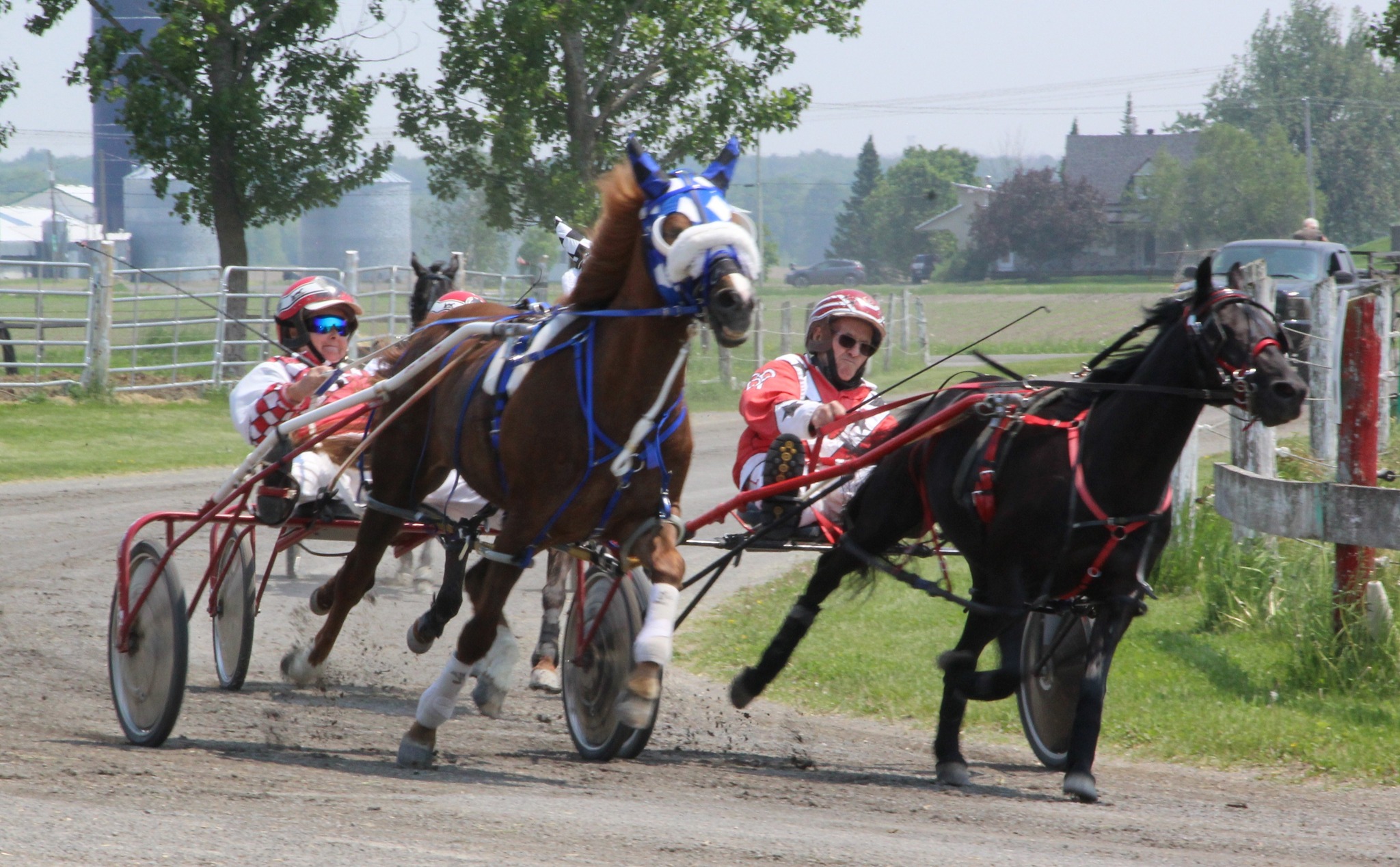 Course poney quebec
