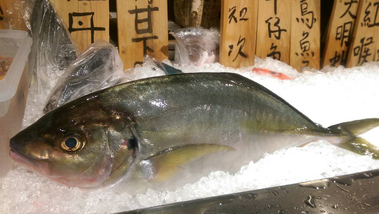 白甘魚熟成7日 夏日義式冷盤crudo 日本人稱縞鰺是白身魚之王 一流油脂香氣 Trevally Jack Aged Sashimi Youtube
