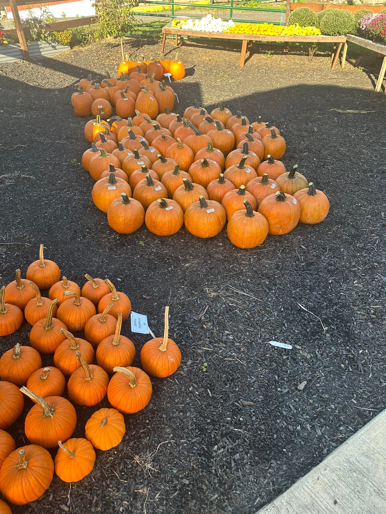 Jasper Ridge Farm | Emmaus PA