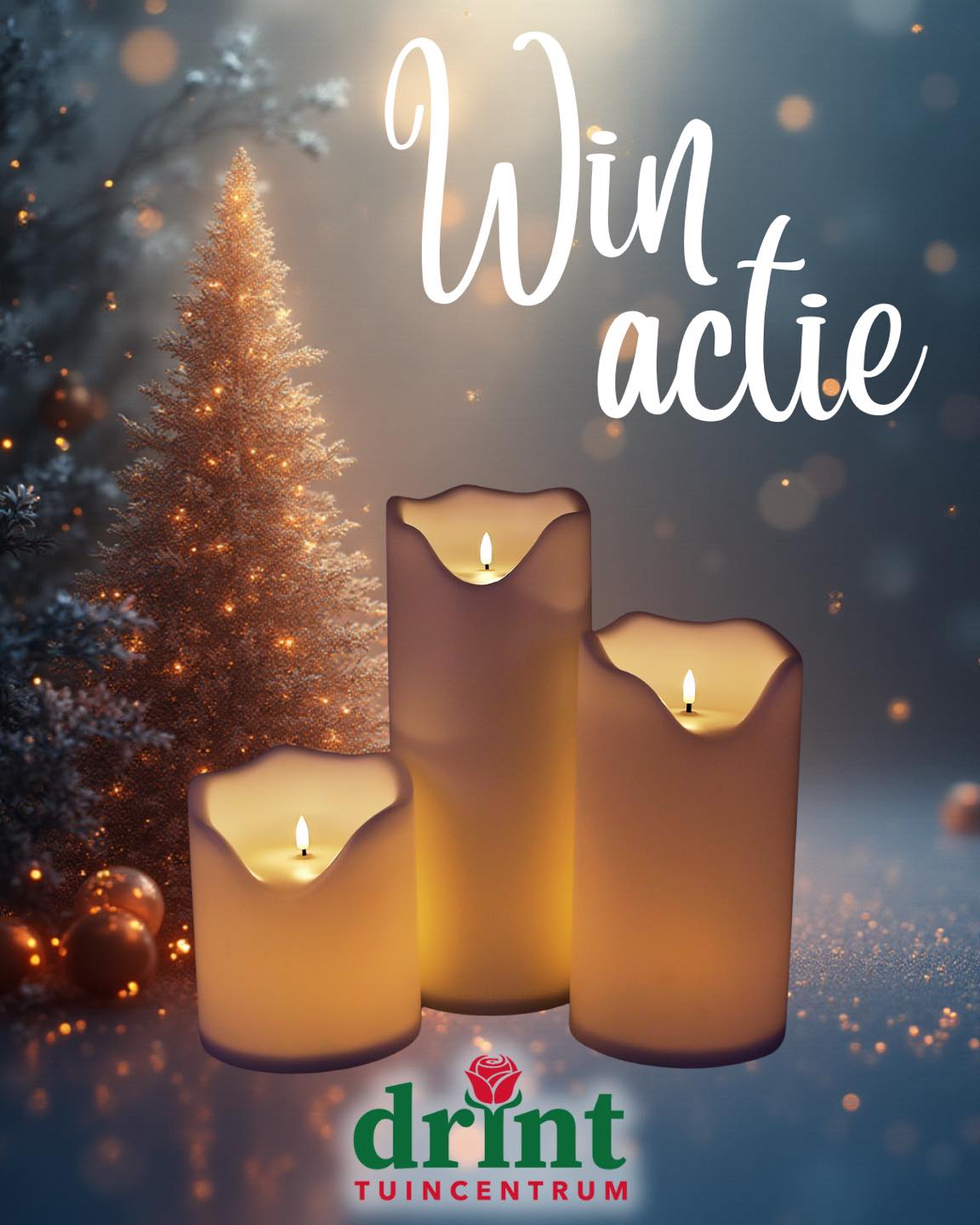🎄 XXL Led kaarsen WINACTIE! 🎄 Breng... - Tuincentrum Drint | Facebook