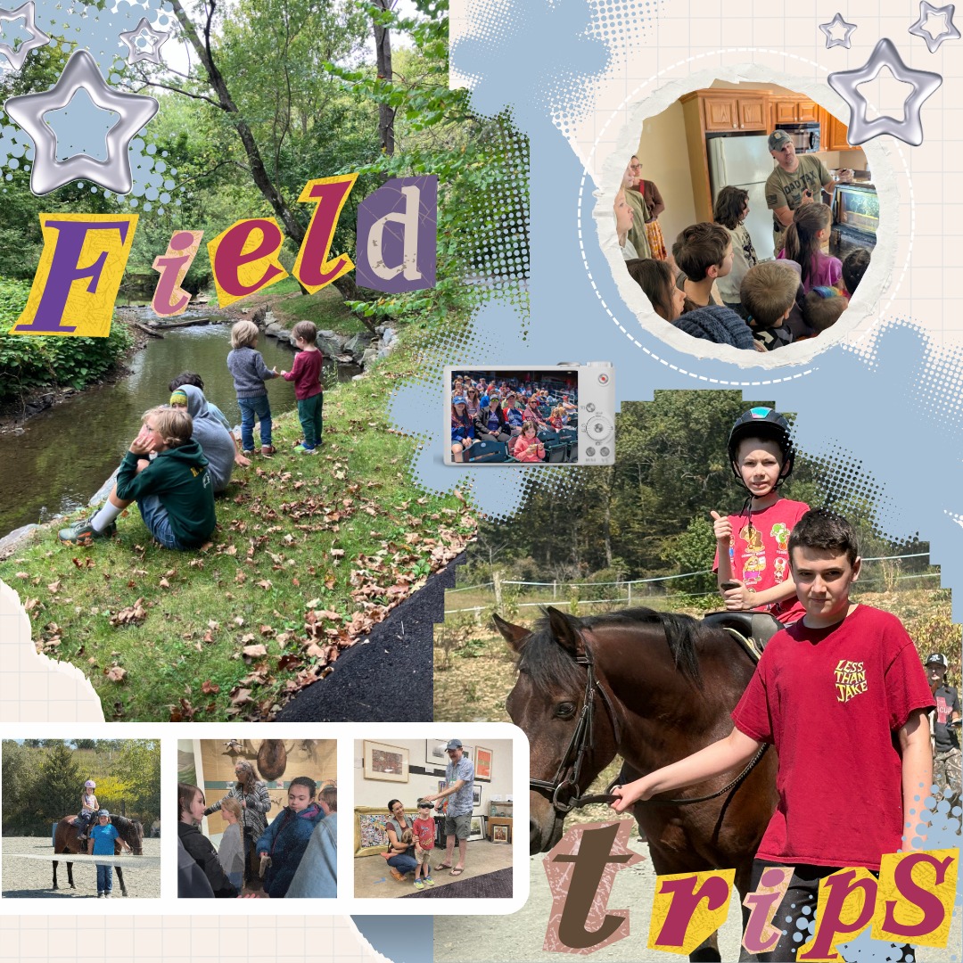 Rising Roots... - Rising Roots Secular Homeschool Cooperative | Facebook