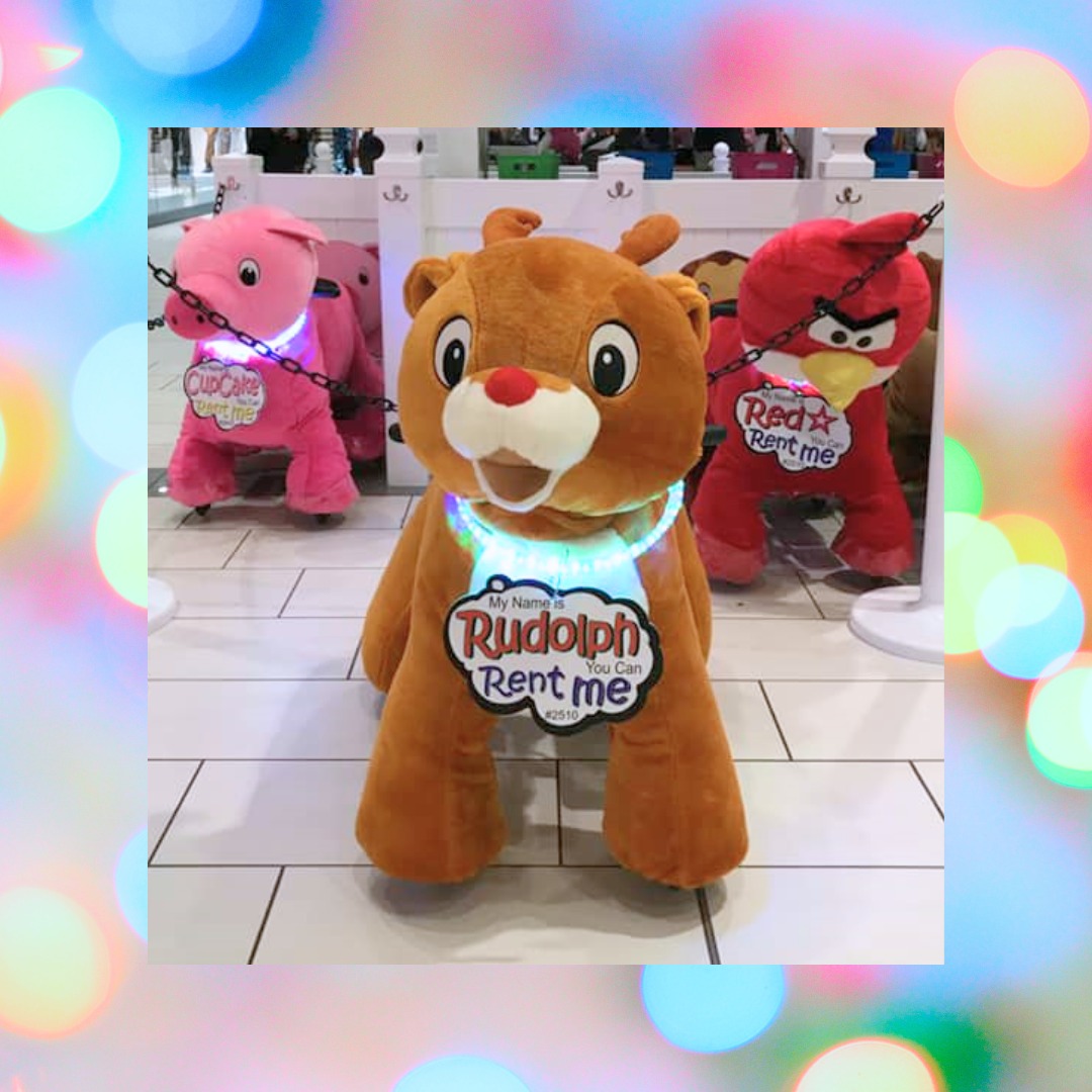 Stuffy Riders | Vancouver BC