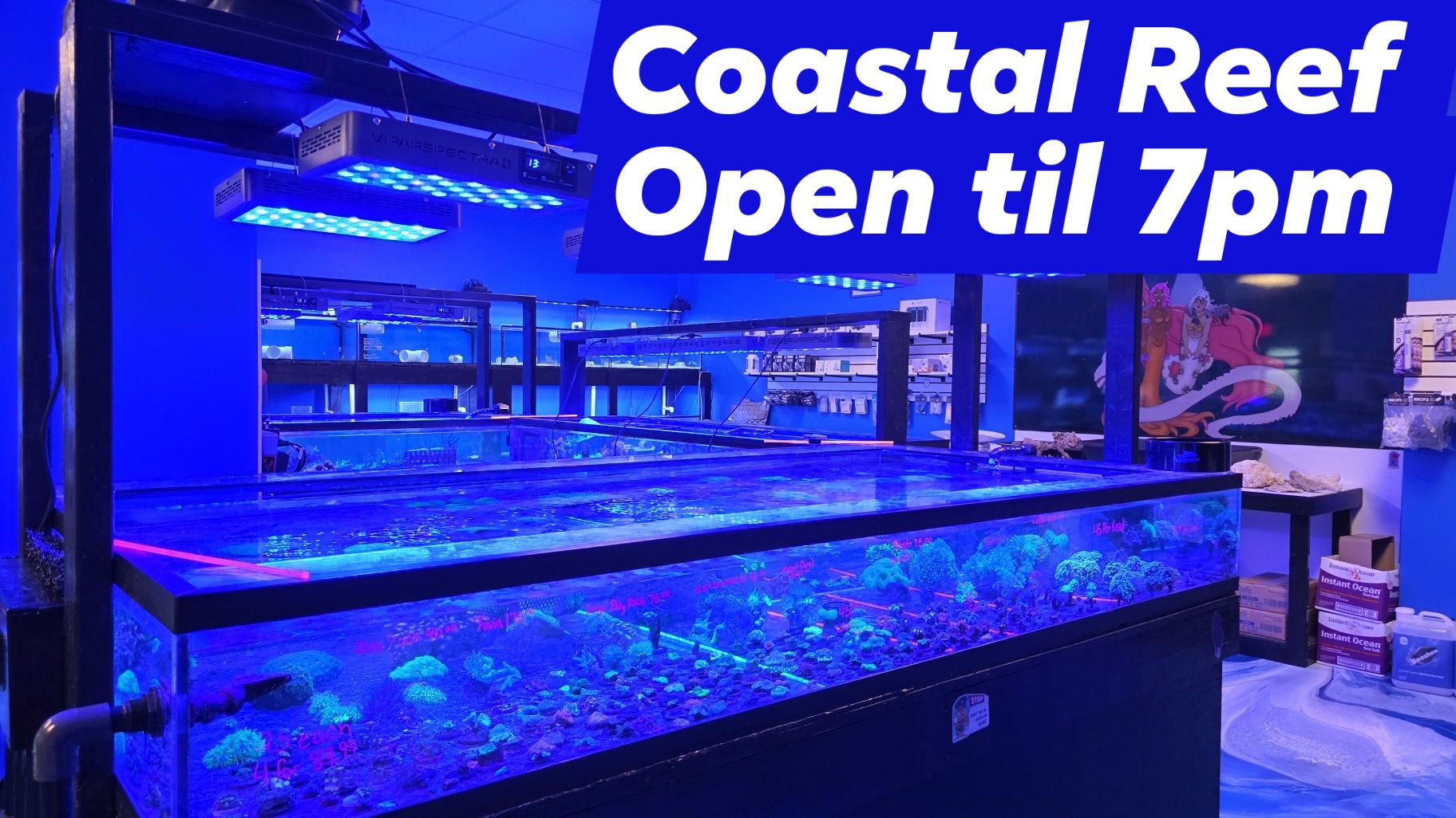 Coastal Reef | Wilmington NC