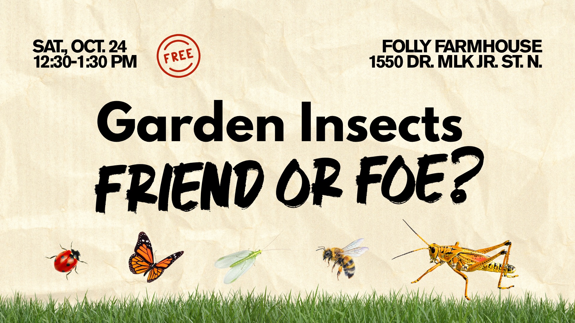 Garden Insects: Friend or Foe?