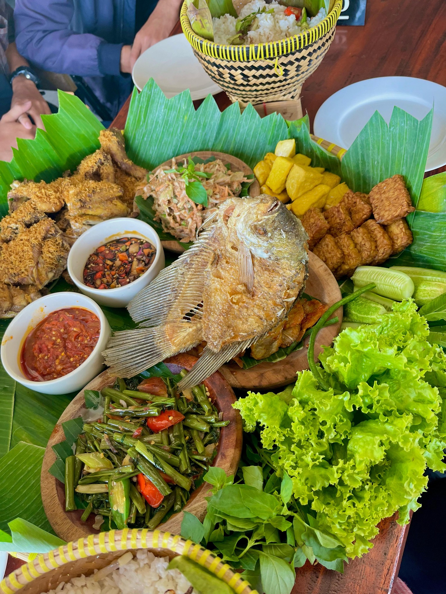 Bogor Labs | Bogor