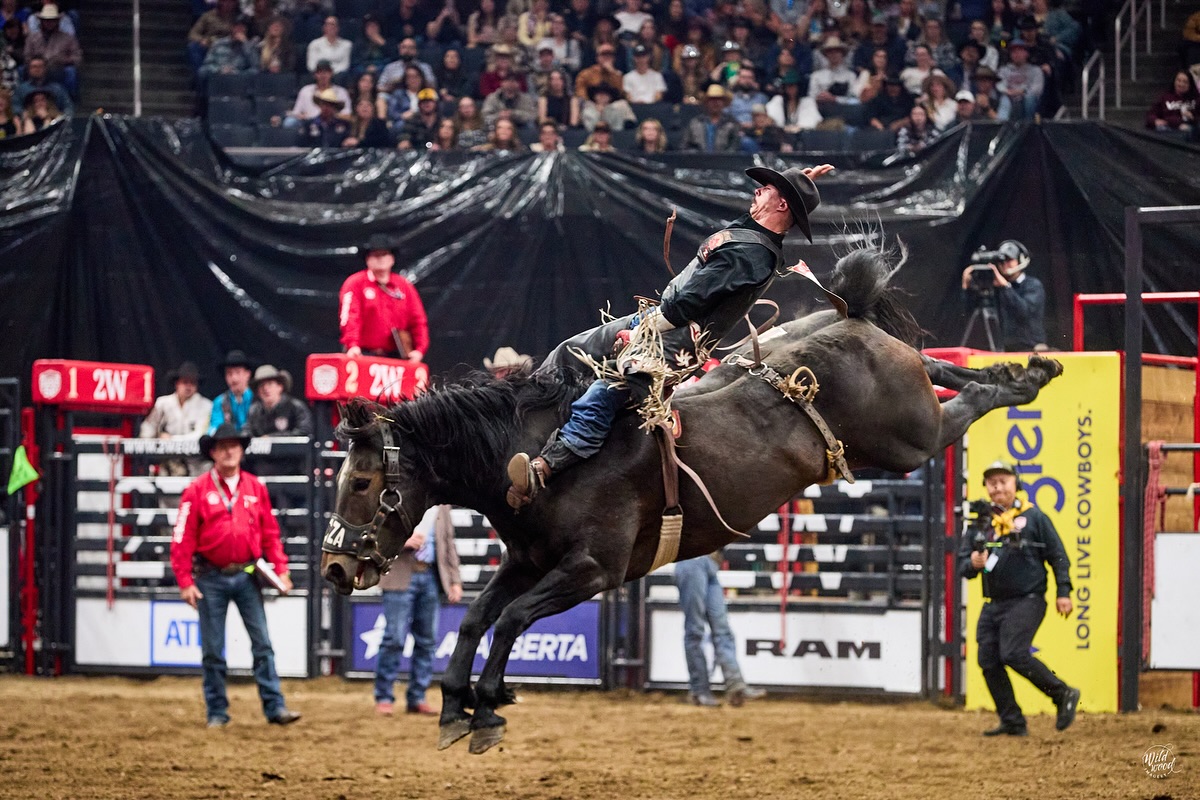Macza Pro Rodeo