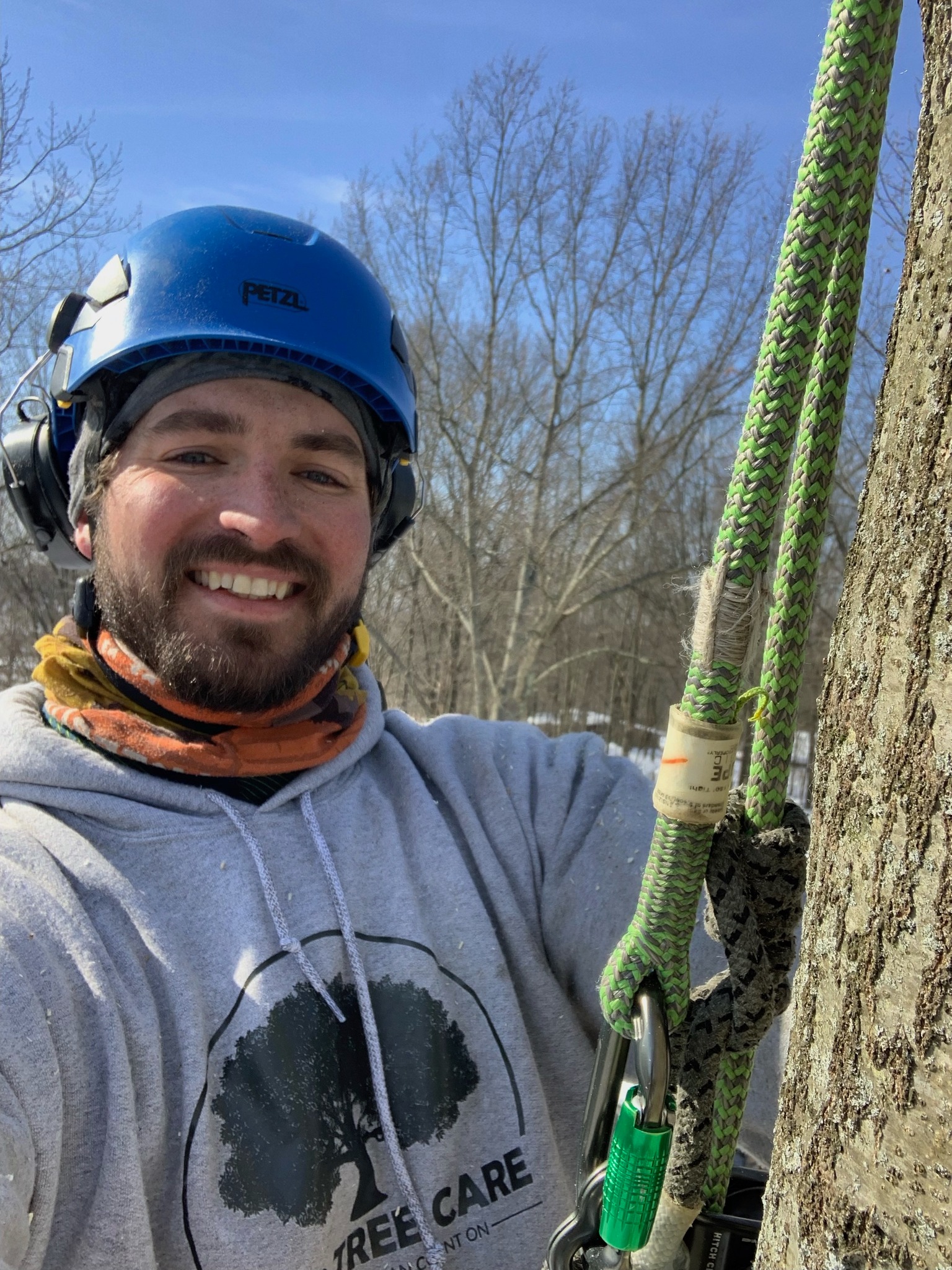 Mild Tree Care