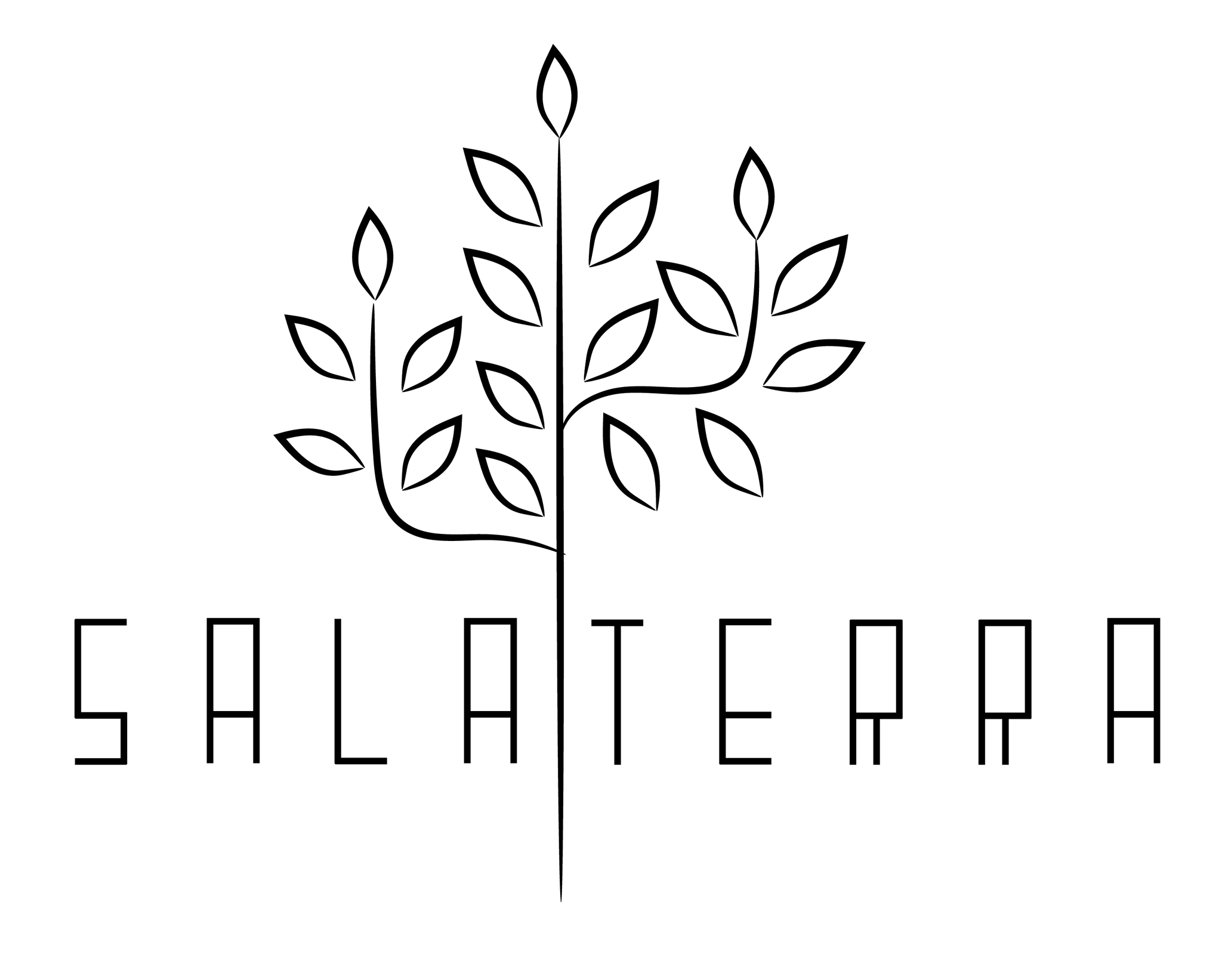 Salaterra Deco | Albuquerque NM