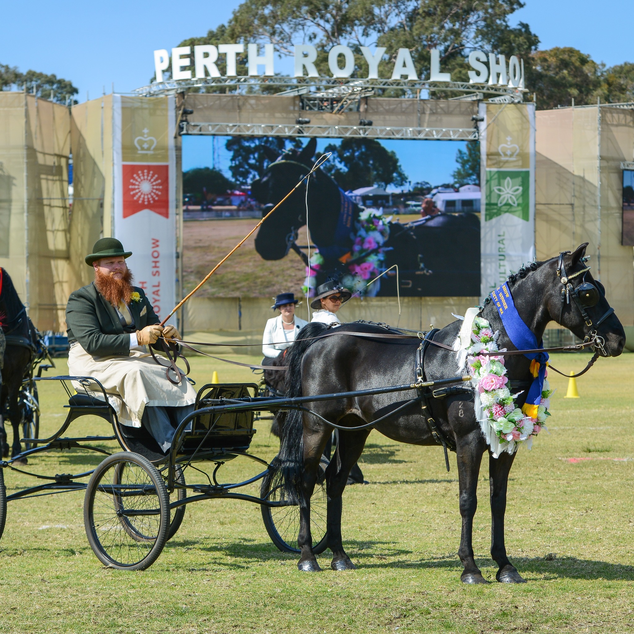 Perth Royal Show