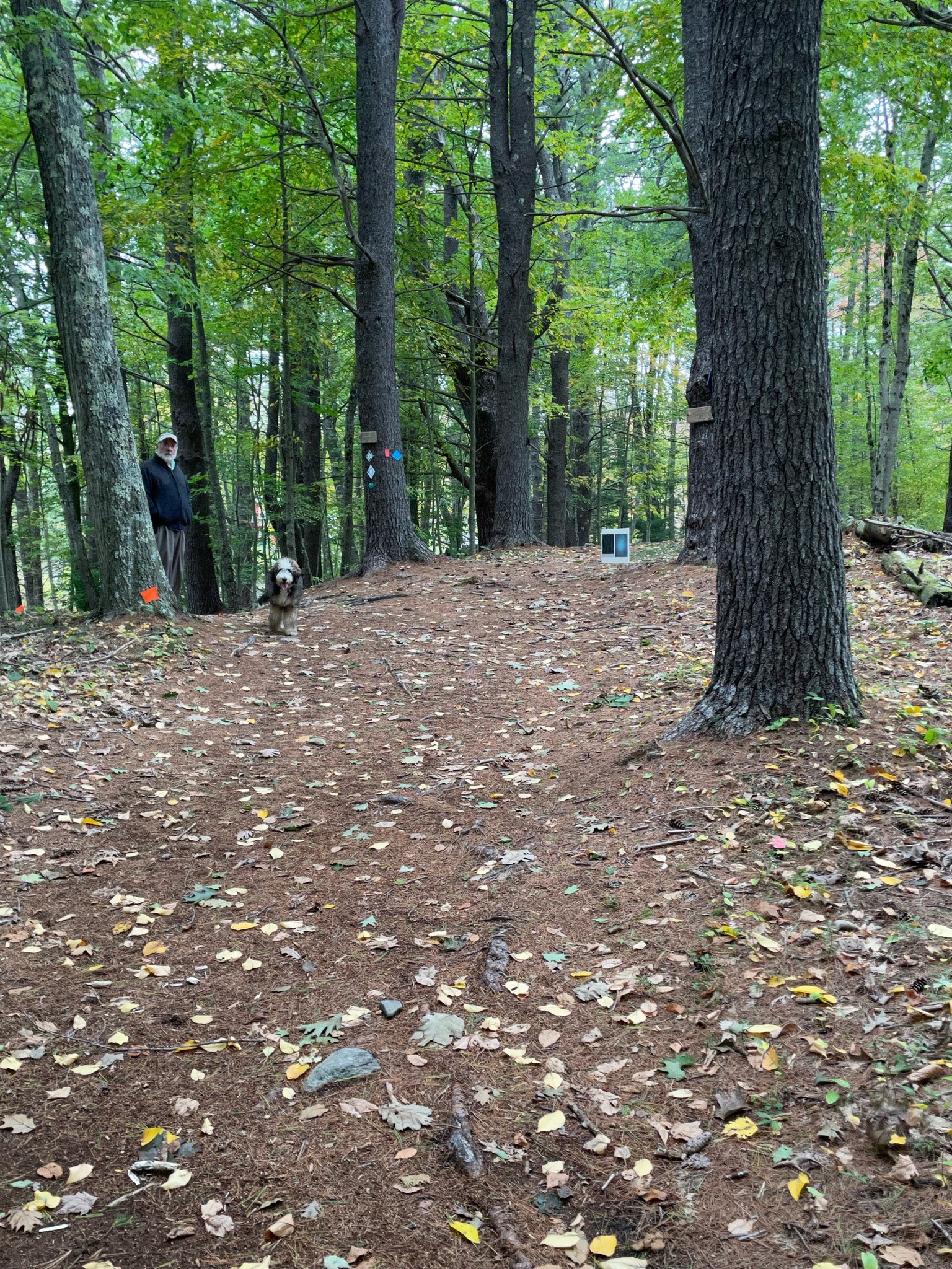 Cutthroat Brook Tree Farm | Athol MA