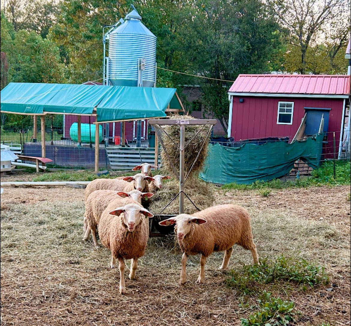 Raspberry Ridge Creamery | Bangor PA