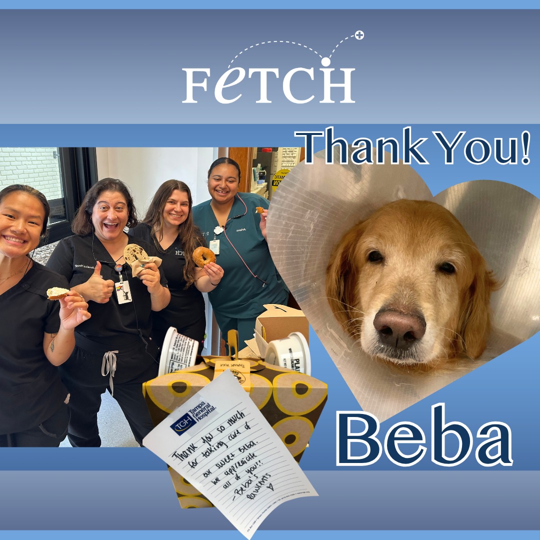 Fetch Specialty & Emergency Veterinary Centers - Brandon, FL added a ...
