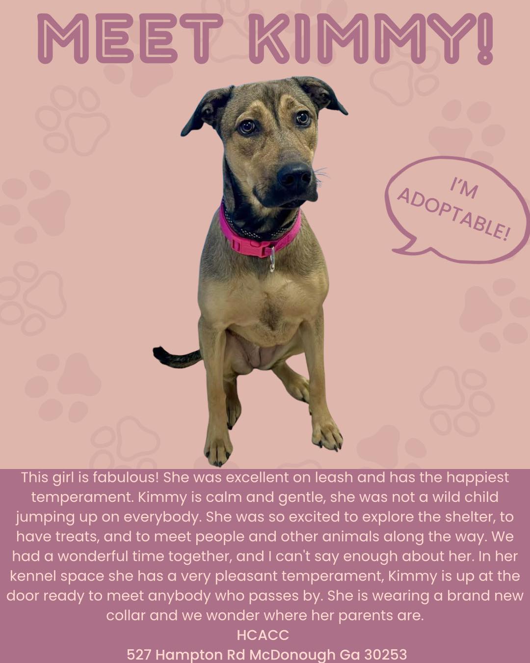 RESCUED ** KIMMY (A393099) video in comments Meet our girl Kimmy