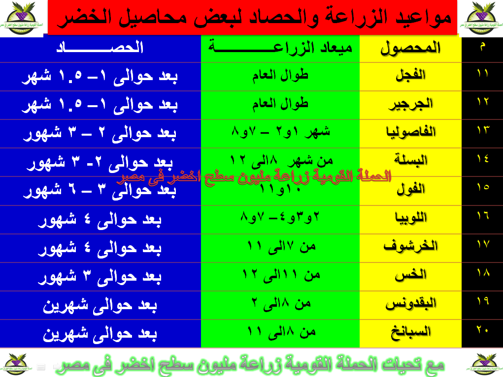 مواعيد زراعة الفاكهة فى مصر