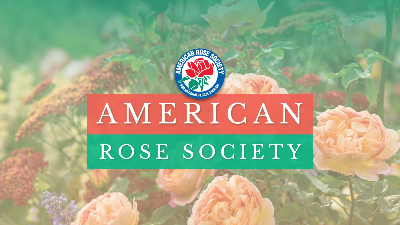 American Rose Society | Shreveport LA
