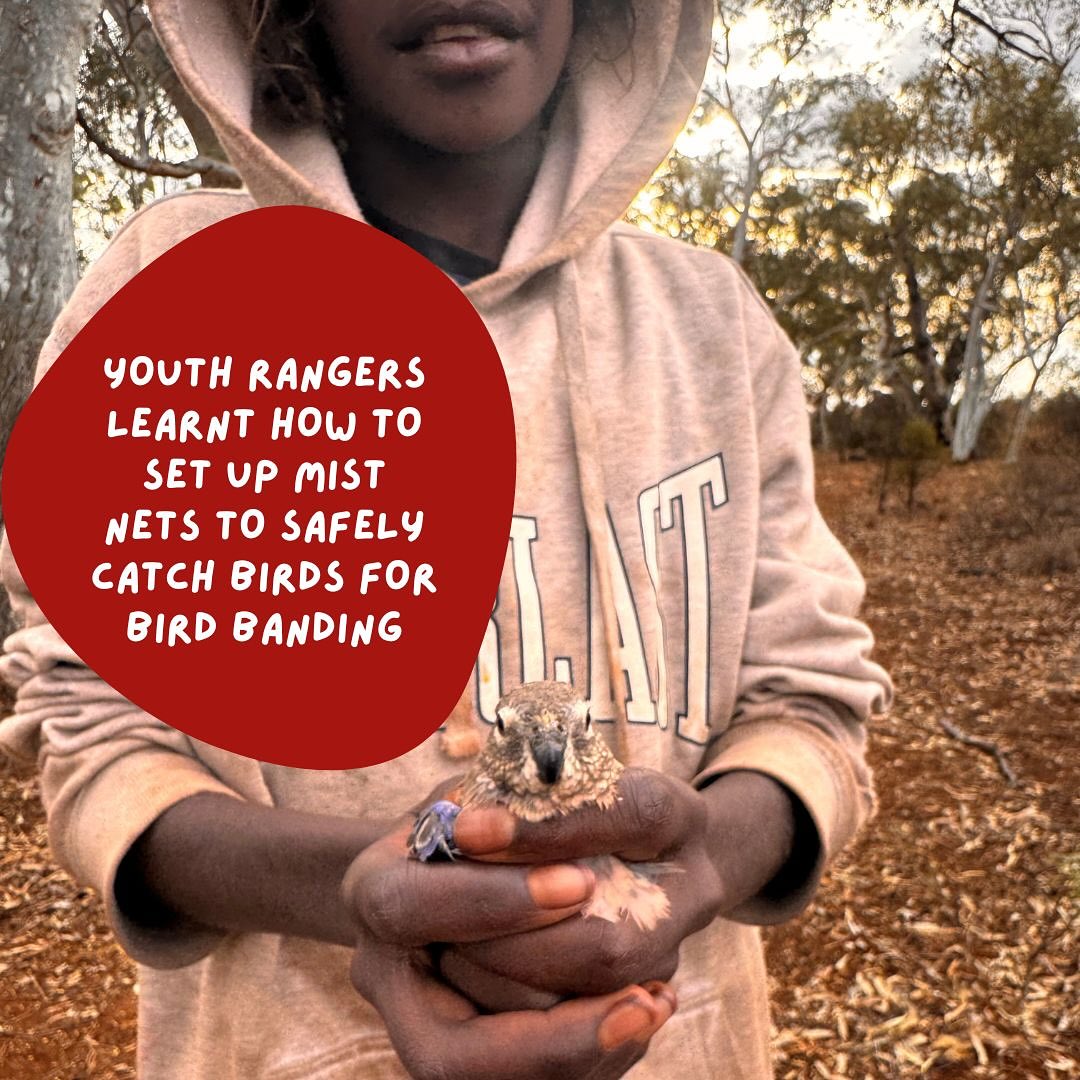 Wiluna Martu Rangers | Perth WA