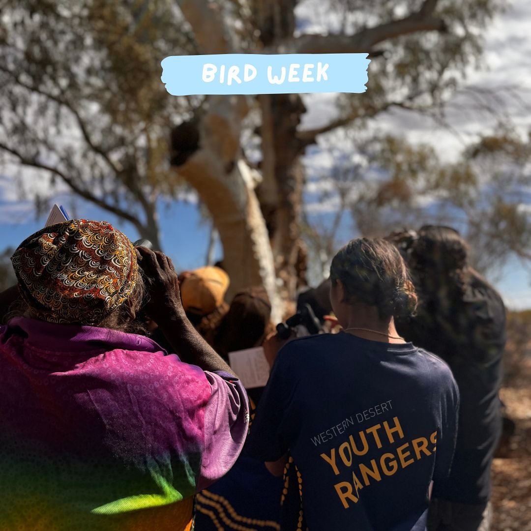 Wiluna Martu Rangers, Wiluna Remote... - Wiluna Martu Rangers | Facebook