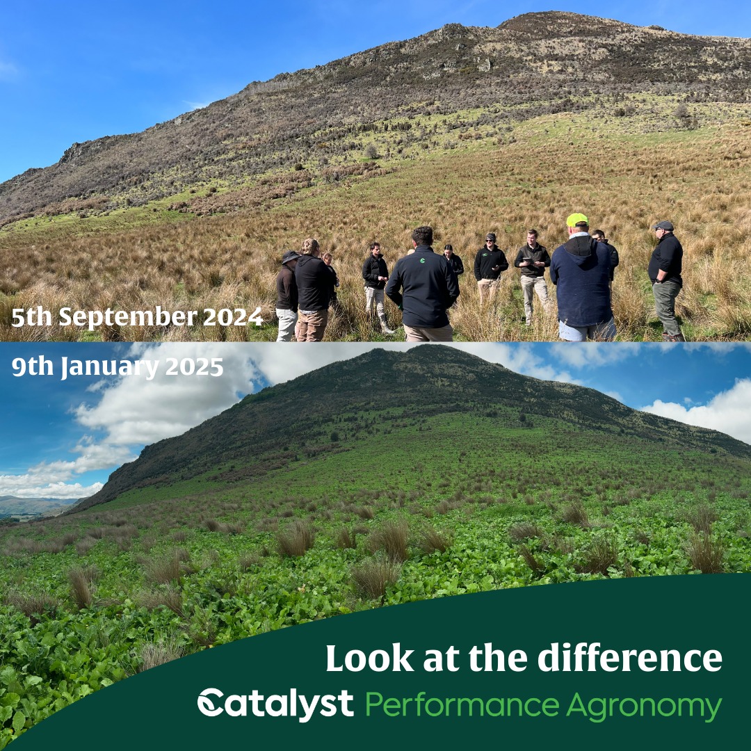 Catalyst - 🌱 Transformation in Just Four Months! 🌱 Check out this ...
