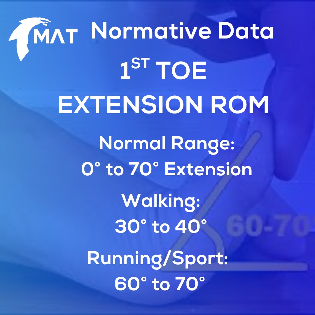 Movement - 🦶 Big Toe Extension — The Overlooked Key to Movement When we ...