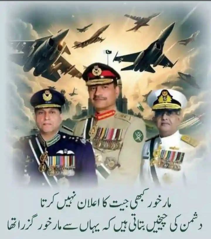 Patriotic Soldiers of Pakistan PSOP - مومن ہے تو بے تیغ بھی لڑتا ہے ...