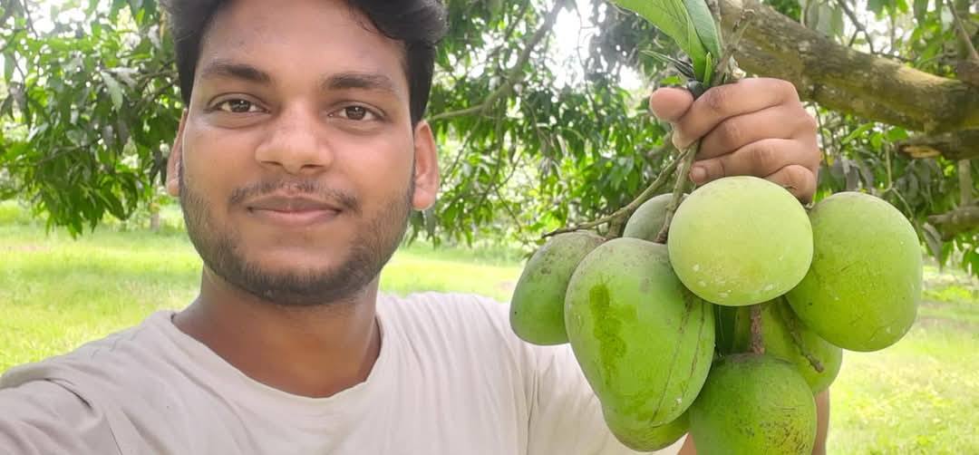 M/s Islam Farm-মেসার্স ইসলাম ফার্ম | Nawabganj