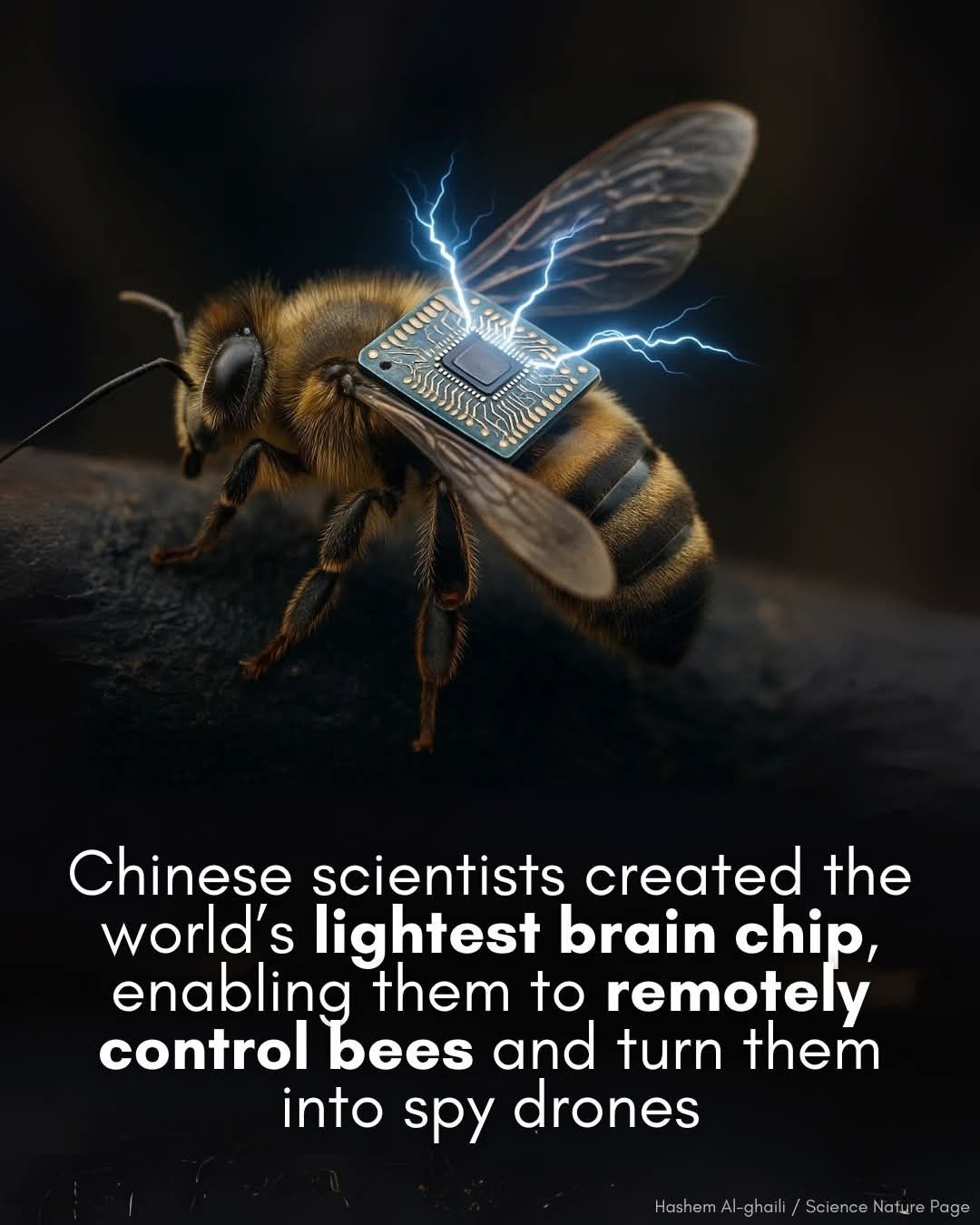 Scientists in Beijing created a brain chip that lets them control ...