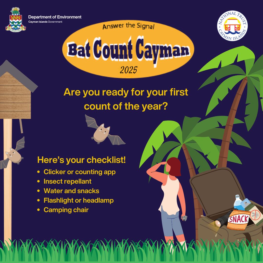 Cayman - Are you ready to count? Here is a list of supplies you can ...