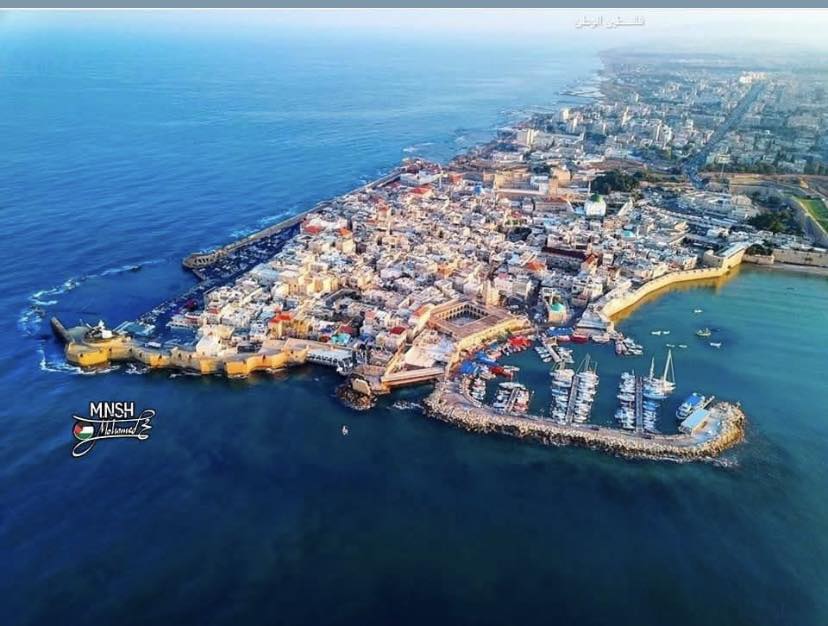 الطنطورة - خليج عكا - فلسطين 🇵🇸 تقع مدينة عكا القديمة على شبة جزيرة ...