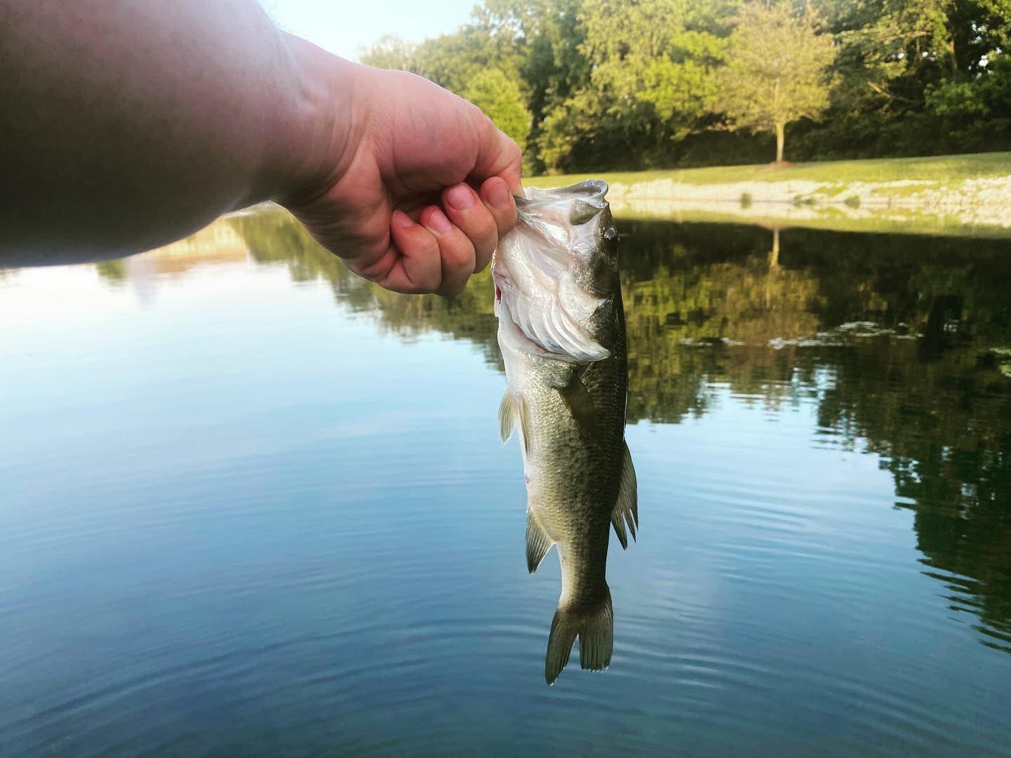 Fishing with André added a new photo. - Fishing with André