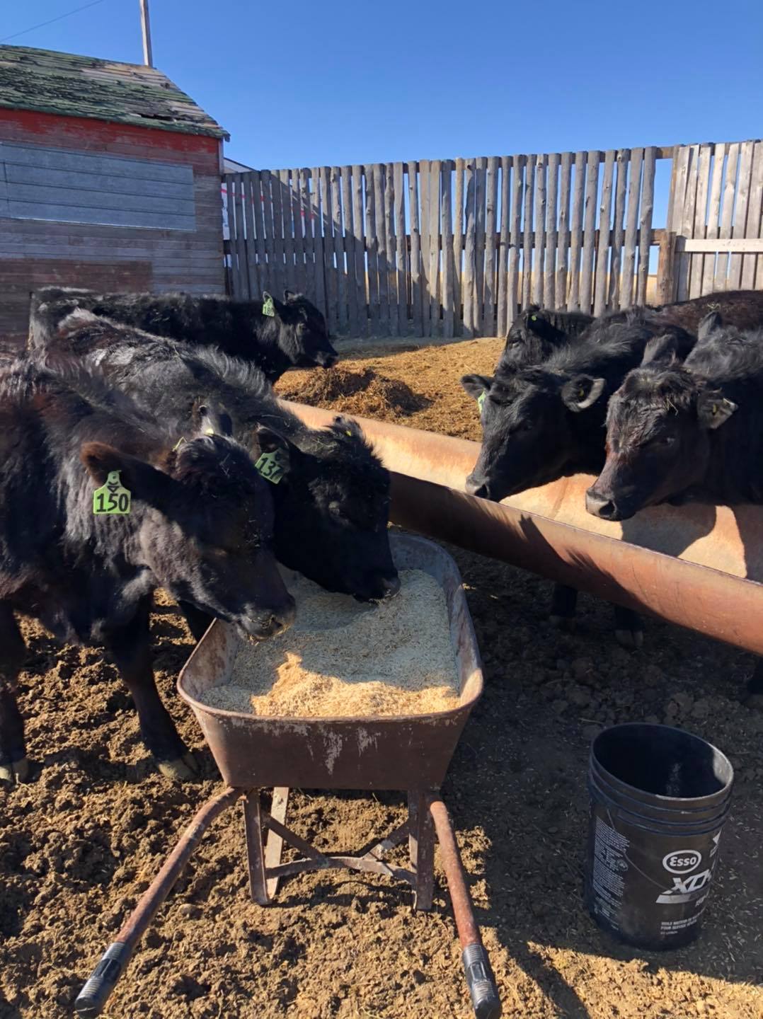 Spade Ranch