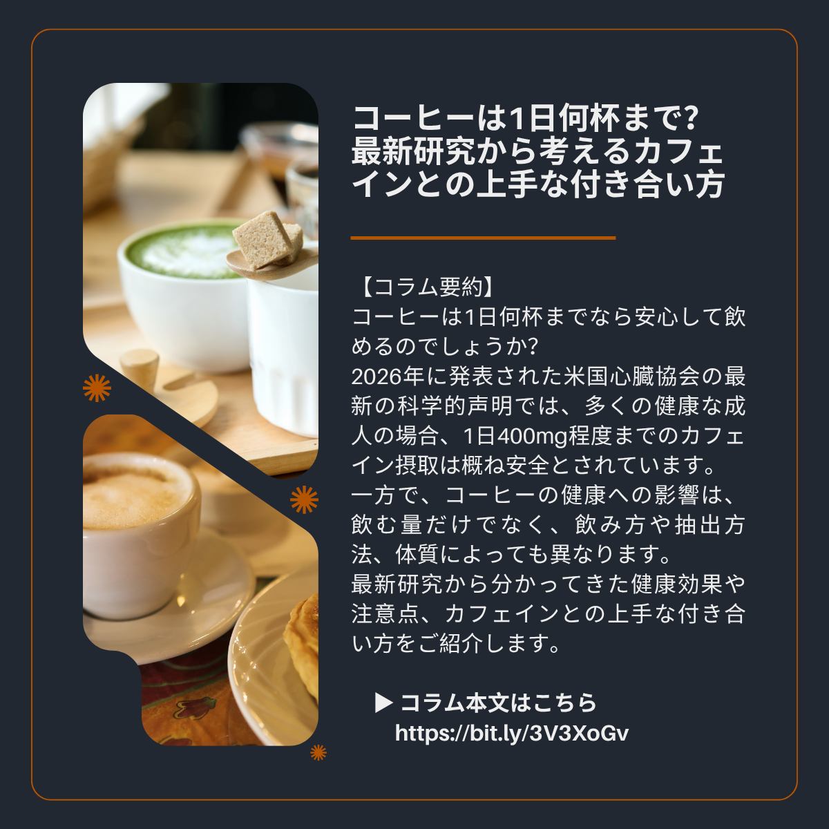 公の場での発言・インタビュー報道記録