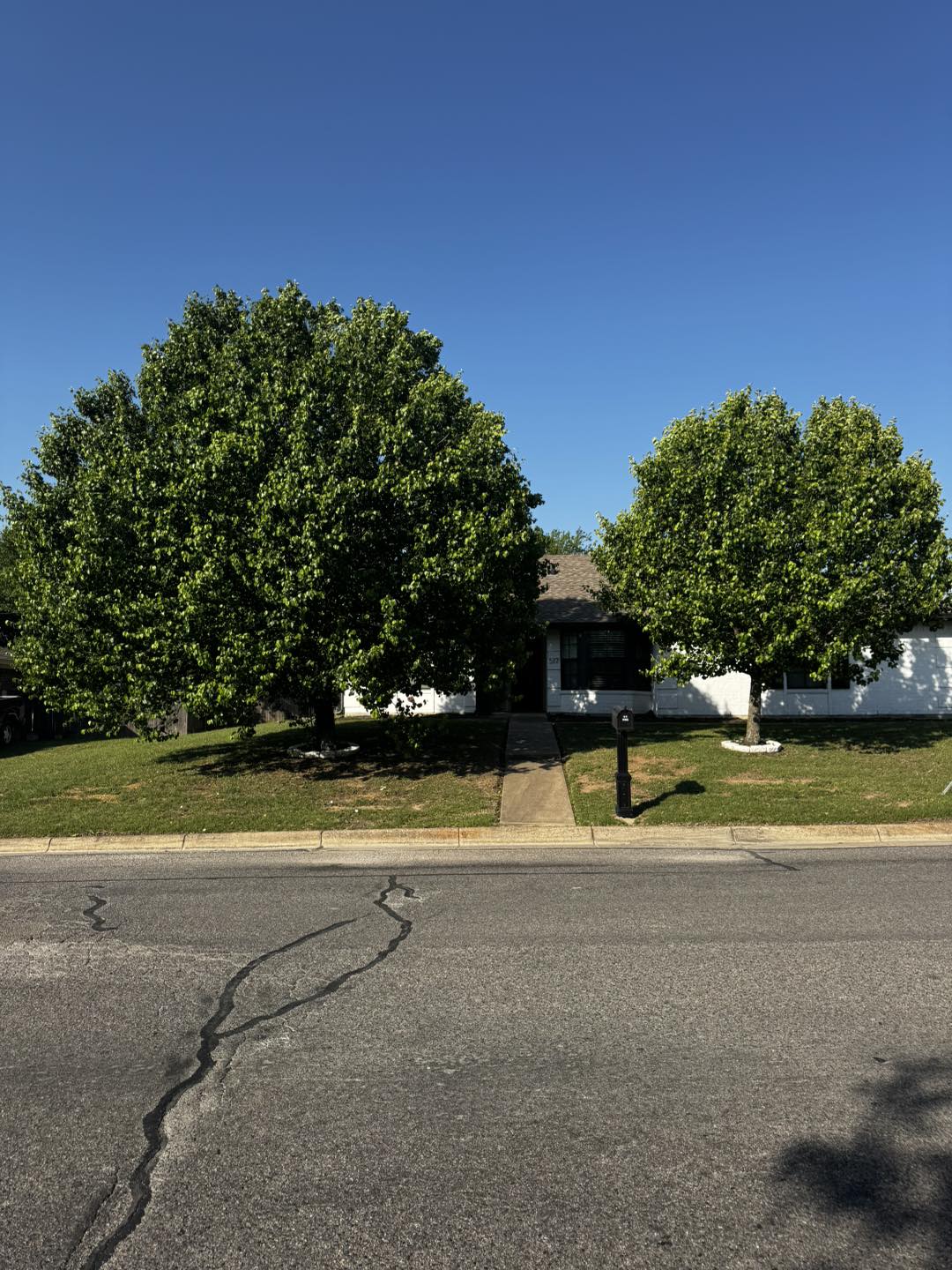 Advanced Tree Services | Burleson TX