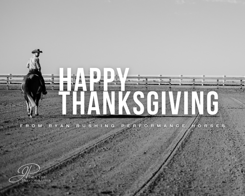 Ryan Rushing Performance Horses | Fort Collins CO