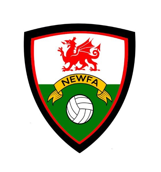 The structure of... - North East Wales Football Association | Facebook