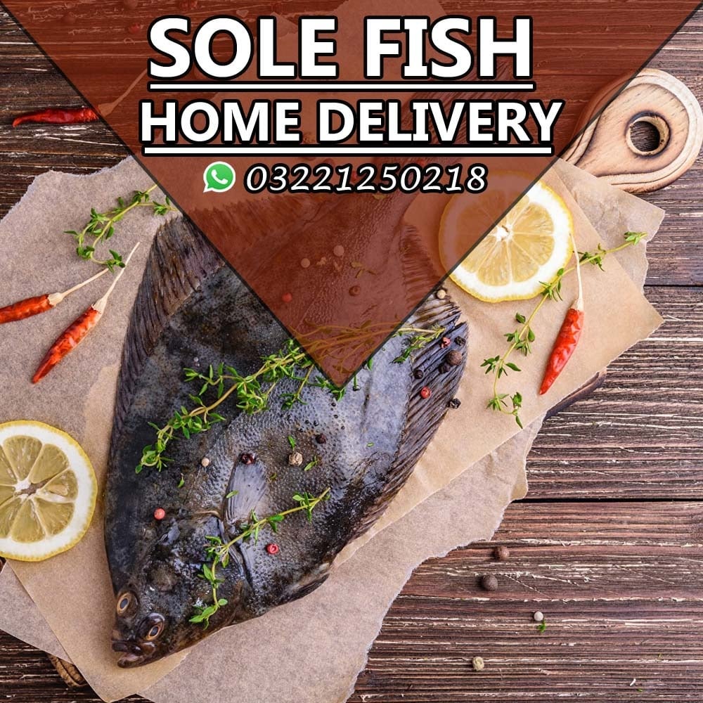 Fish Express