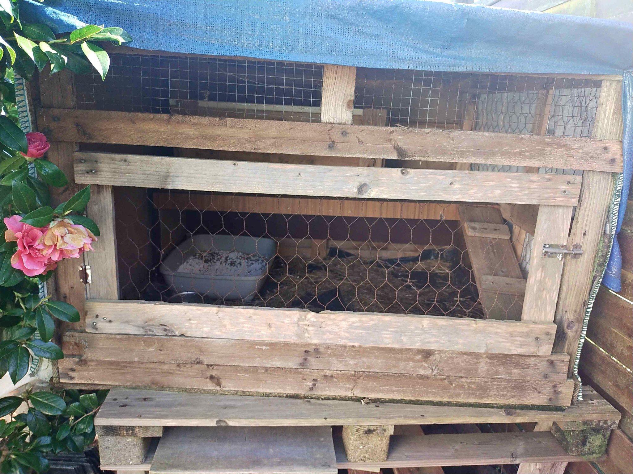 Grande Cage extérieure pour rongeur comme un lapin. - Pet Crates ...