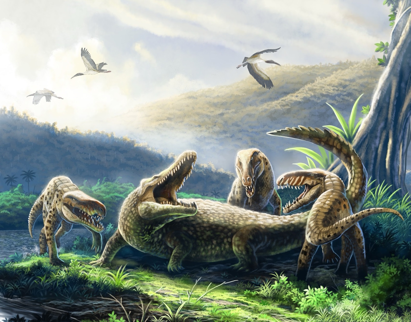 Novataxa - 🔓 #Paleontology #Ecology • 2025 :: A South American sebecid ...