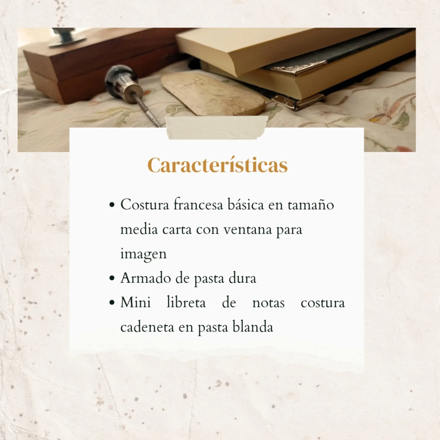 Laura Root - Artista