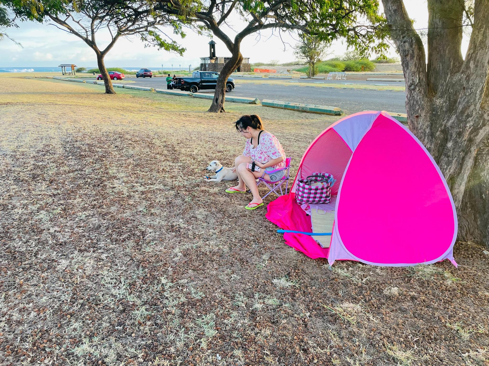 ハワイ パイナップル ツアーズ