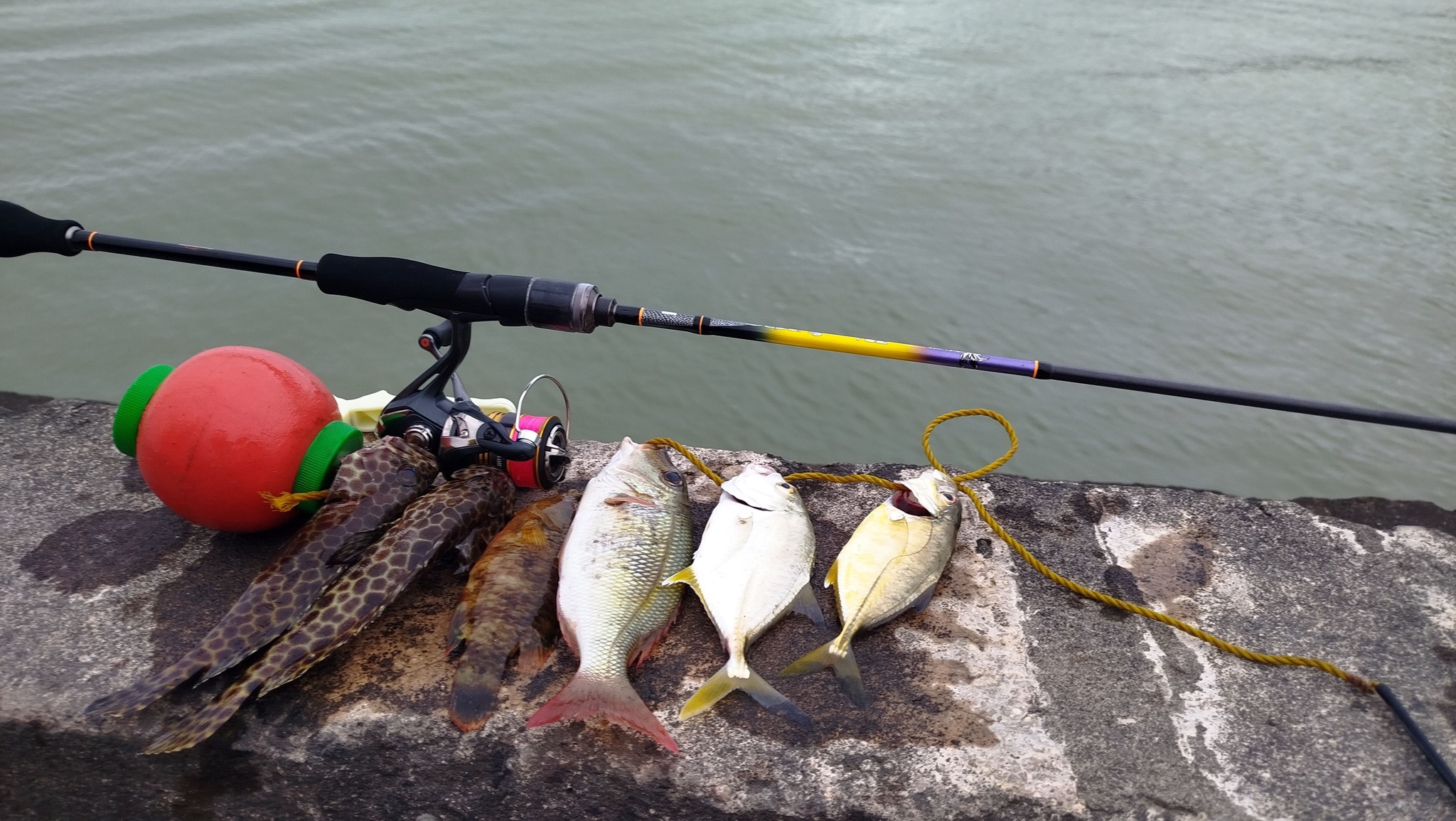 carp fishing pole markers Rod buoy 6.5m including weight and bag saltwater trolling plug best spinning rods for Color and Arbor Size:Clear/Blue, Mid Arbor