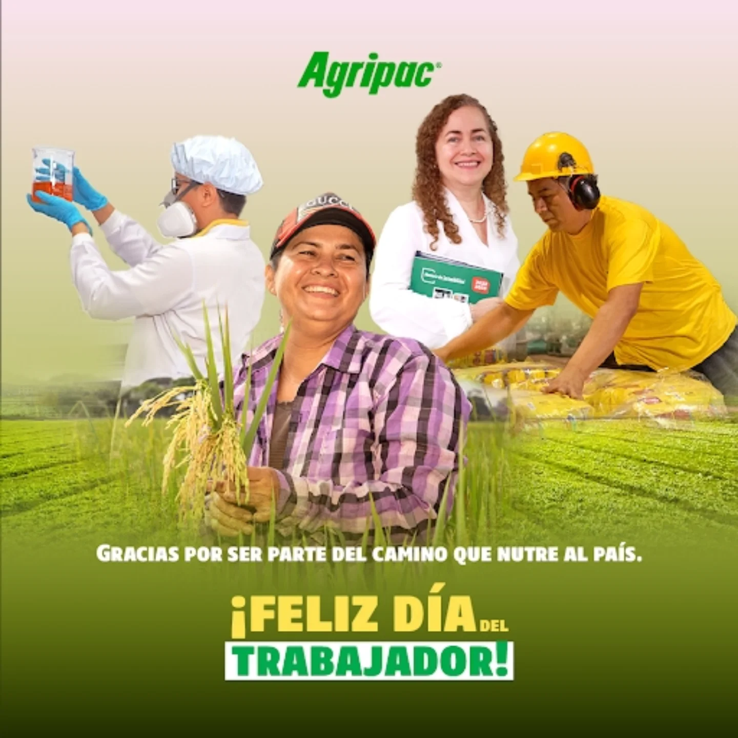 Agripac - Los mejores productos y promociones las encuentras en Agripac ...