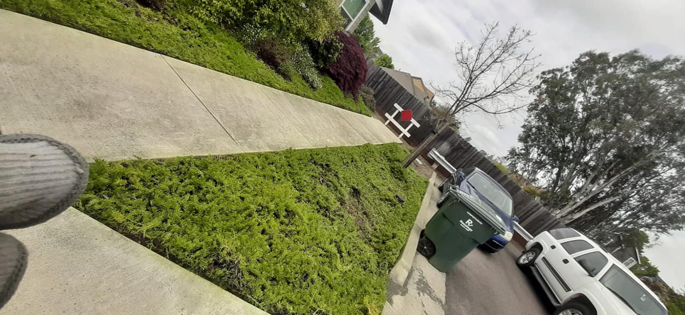 Precision Yard Maintenance | Santa Rosa CA