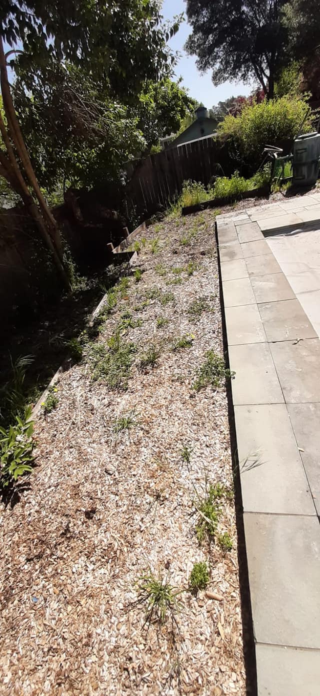 Precision Yard Maintenance | Santa Rosa CA