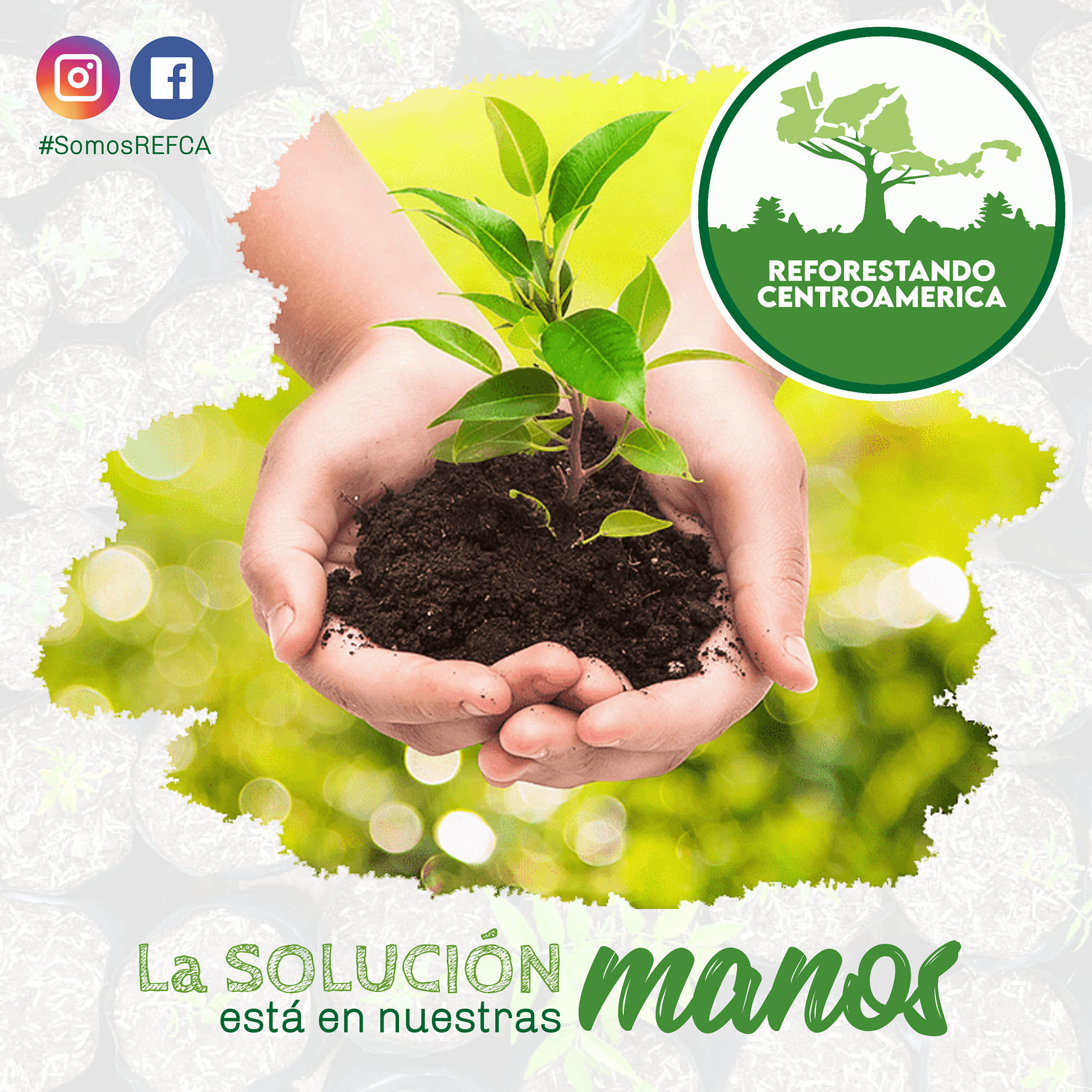 #SomosREFCA... - REFCA - Coordinación Nacional Guatemala