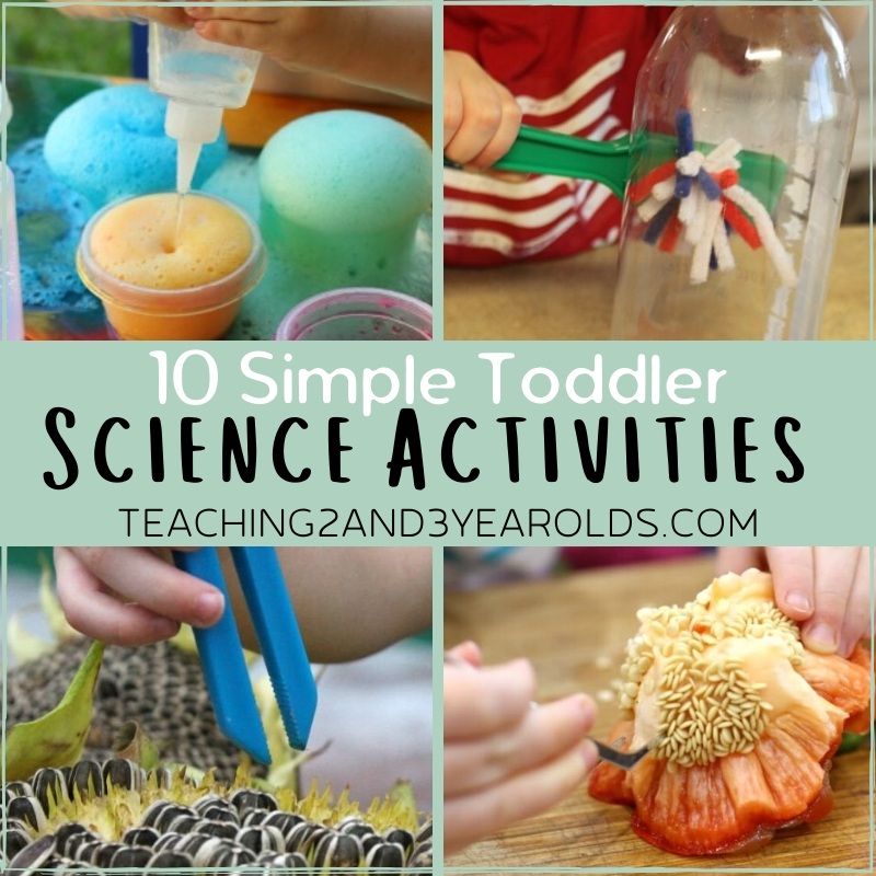 This collection of toddler science activities are perfect for little ...