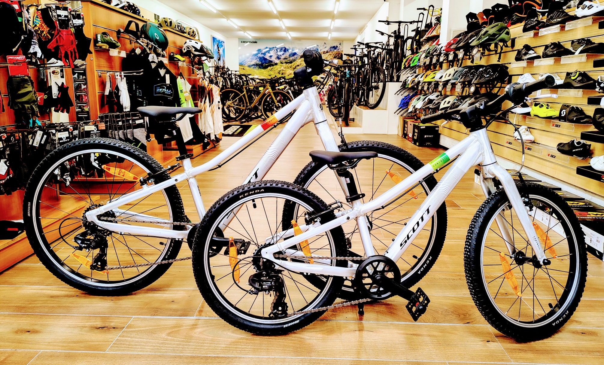 Cycles Pitau | Gosselies