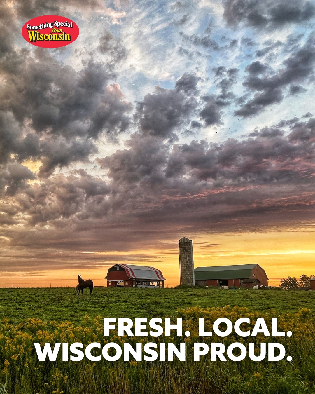 Discover Wisconsin