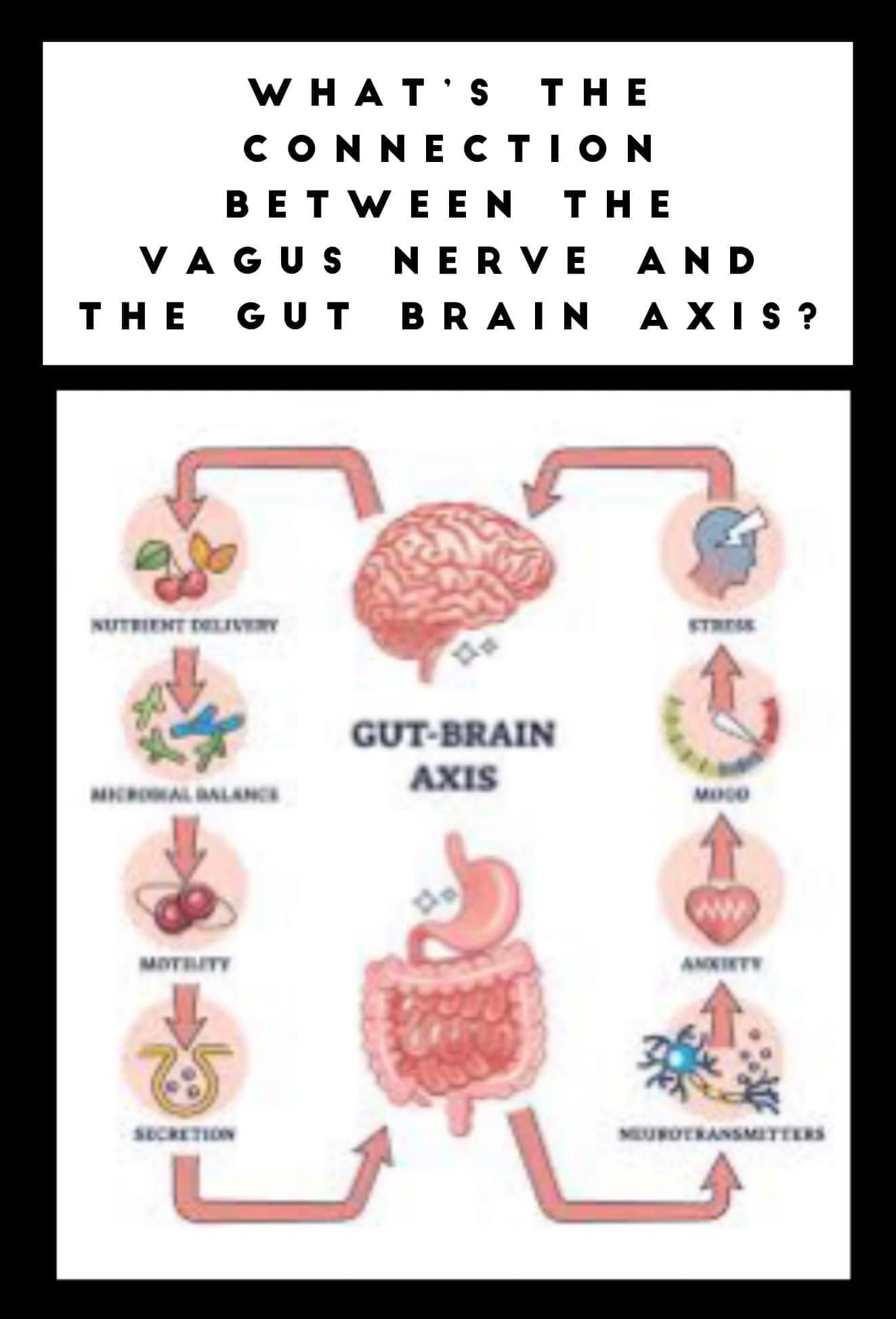 Total - 🧠 What’s the connection between the vagus nerve and the Gut ...