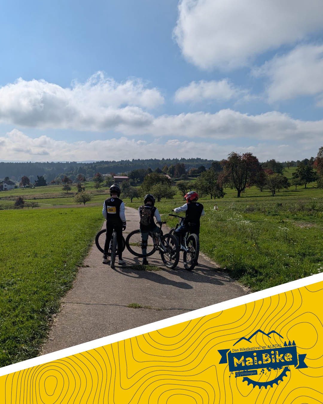 klapprad auf fahrradträger ROCKBROS für Brompton Fahrrad, Spanngurte zur Befestigung Auto Sonnenblende Organizer Tasche Giant Hybrid Farbe:Schwarz mit Logo