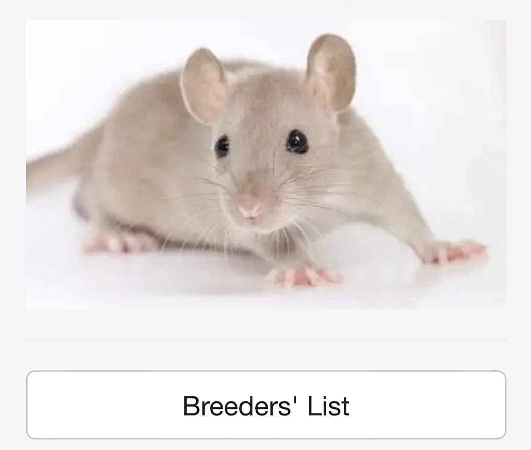 The new Breeders’ List is... - National Fancy Rat Society | Facebook